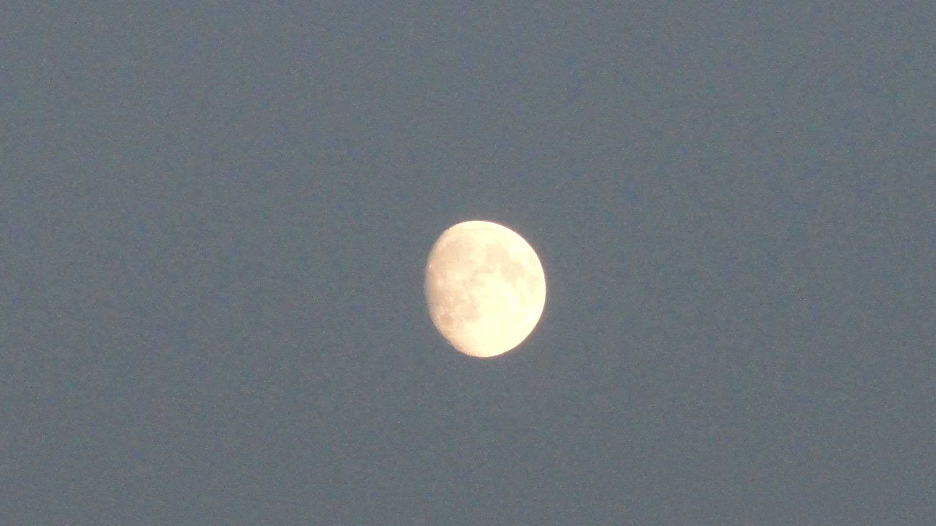 De maan